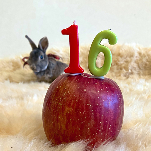 16のキャンドル