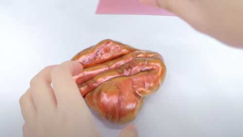 スライム 一昨年 放置 1年以上 変化 エルマーズグルー ASMR