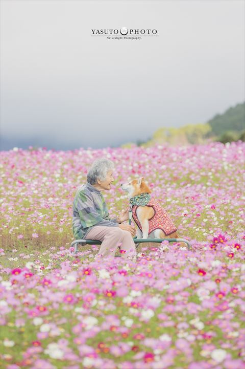 花畑で見つめ合うワンコとおばあちゃん