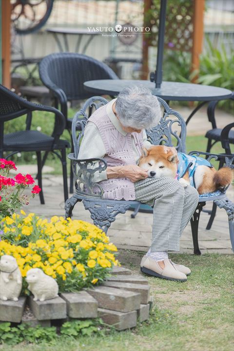 おばあちゃんのヒザに顔のせるワンコ