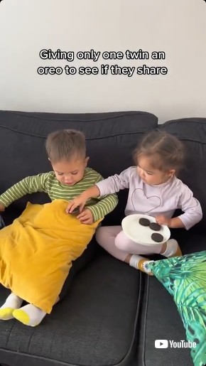 シェアする双子