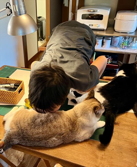 猫吸いする息子さん