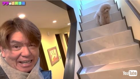 腰椎圧迫骨折で入院した松本伊代のため自宅をバリアフリー化するヒロミ