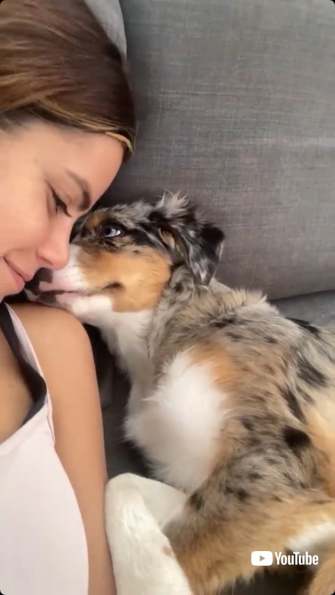 キスをねだる犬