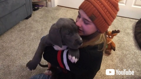 子犬を抱きしめる少女