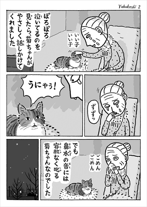 話しかける猫