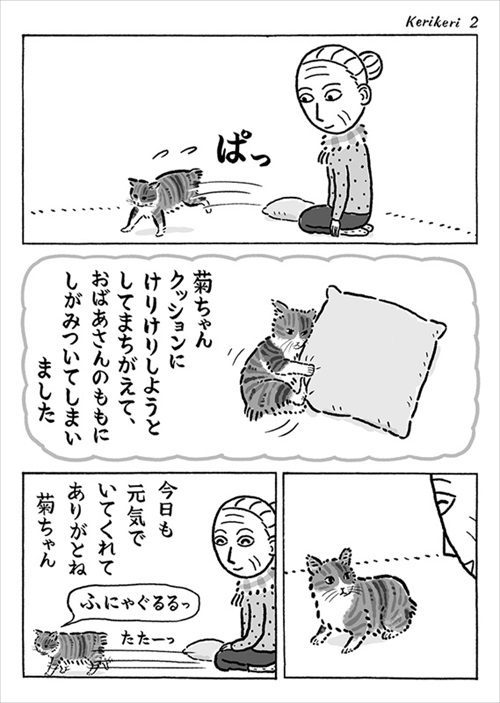 クッションと間違えた猫