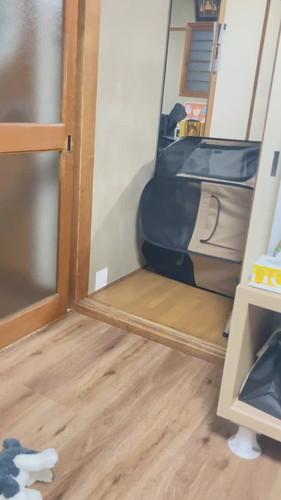 「ちょっとサークルに入ってもらってたら…」