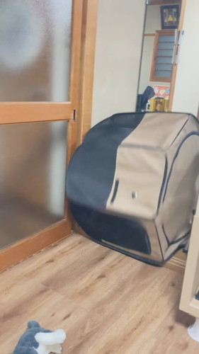 「ちょっとサークルに入ってもらってたら…」