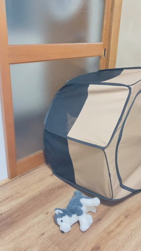 「ちょっとサークルに入ってもらってたら…」