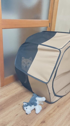 「ちょっとサークルに入ってもらってたら…」