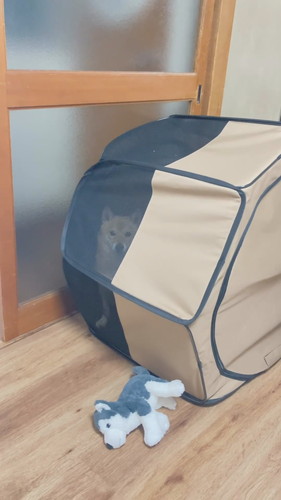 「ちょっとサークルに入ってもらってたら…」