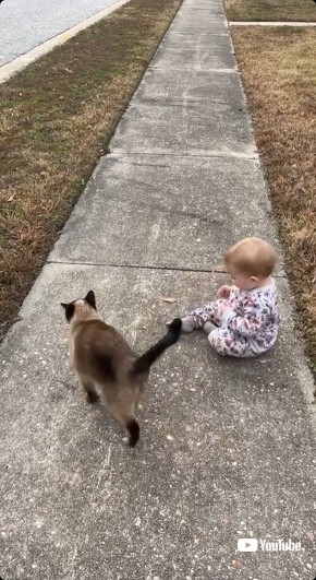 猫に逃げられた子ども