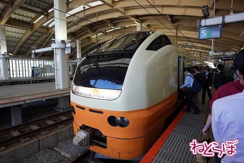 駅員が列整理を行っていた