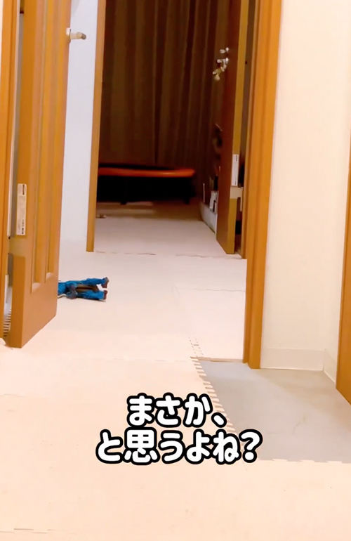 いつから見てたの？