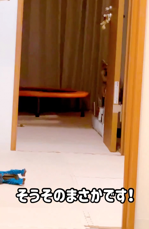 いつから見てたの？