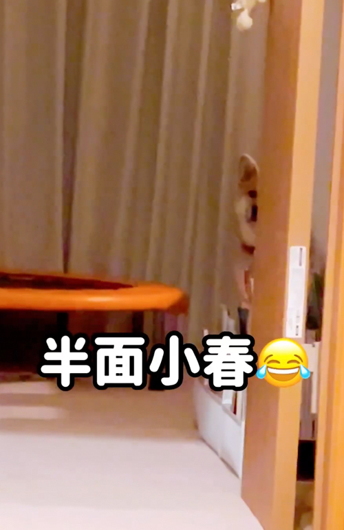 いつから見てたの？