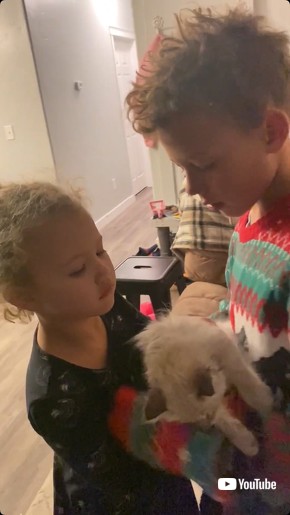 猫を妹に渡す少年