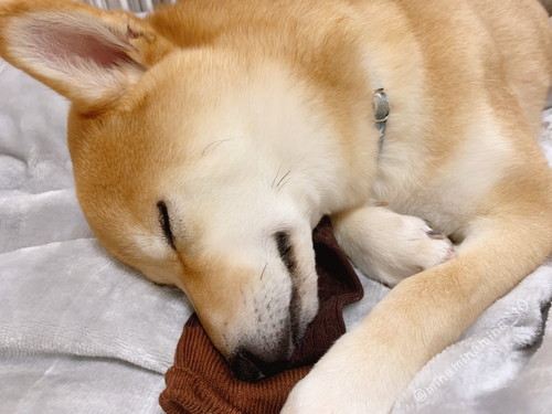 靴下をまくらに