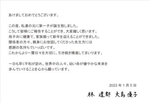 林遣都と大島優子に第1子誕生