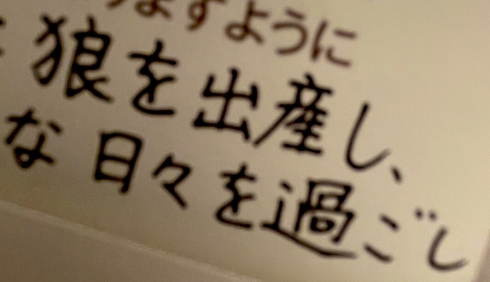 狼を出産