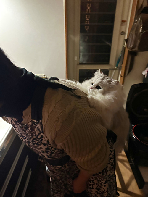 ママさんにとりつくノーマンくん