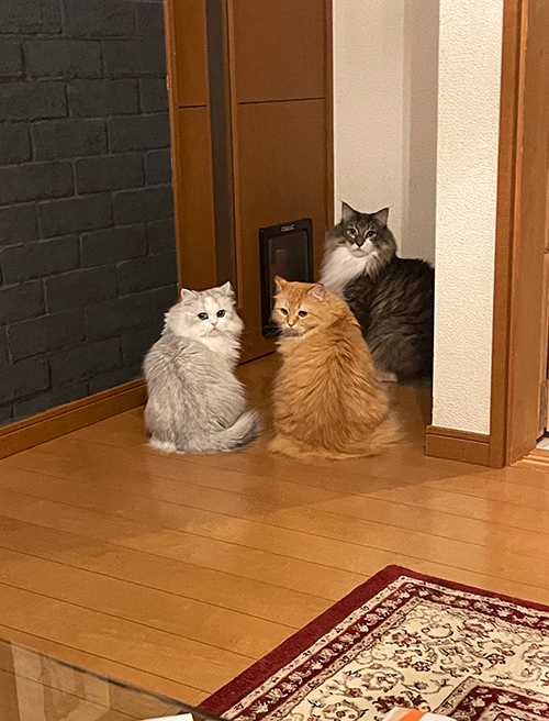 ドア前スタンバイ