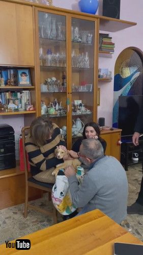 「Mom Has an Emotional Reaction to Special Christmas Gift || ViralHog」