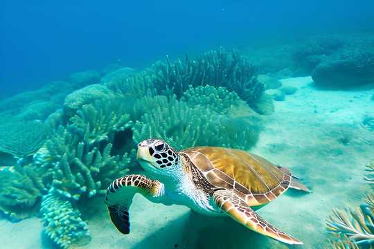 AIで画像を生成できる世界初とうたう素材サイト「AI素材.com」がリリースされました