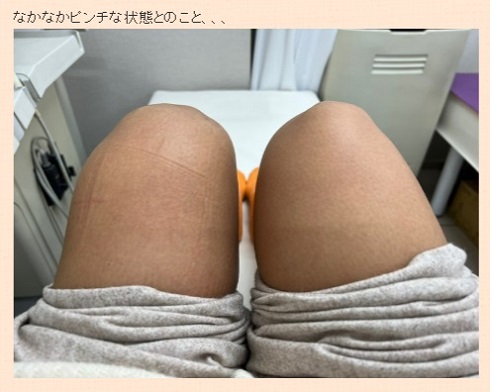 あいのりのクロ