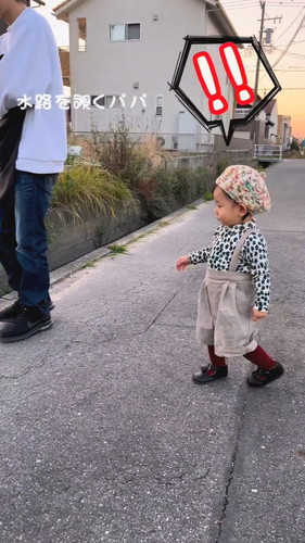 「水路から守ってくれる」