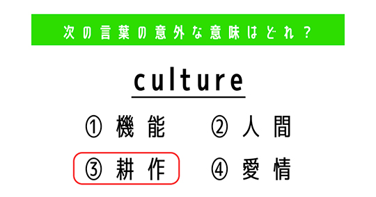 文豪の一節を当てようクイズ　太宰治『人間失格』