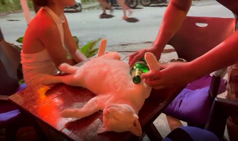 猫の前足をさわってビンを置こうとする男性