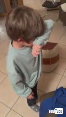 「A Boy And His New Kitten || ViralHog」