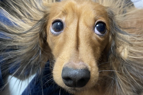 「お布団から出てきたらこれ」