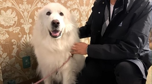 トレーナーと再会