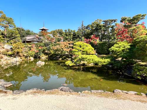 世界遺産 仁和寺 クラウドファンディング 名勝庭園 メンテナンス 費用 捻出
