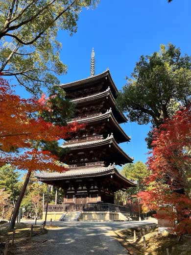 世界遺産 仁和寺 クラウドファンディング 名勝庭園 メンテナンス 費用 捻出