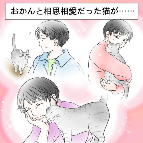 相思相愛の猫ちゃんとお母さん