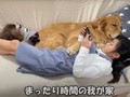 人間の妹と添い寝するゴールデンレトリバー、前足でギュッ……　“守るべき存在”への愛が強くて頼もしい