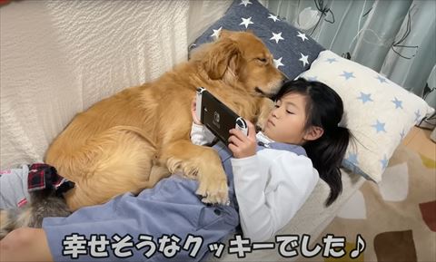 幸せそうなクッキーでしたテロップ