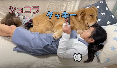 名前紹介テロップ