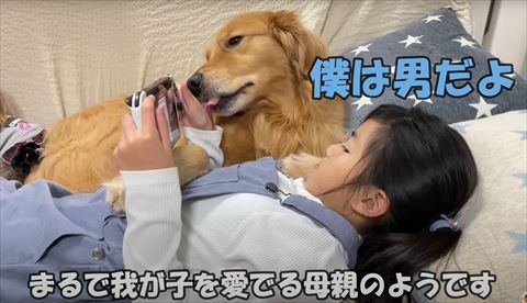 僕は男だよテロップ