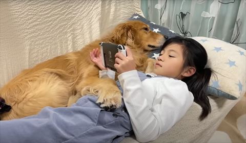 前足アップ添い寝するワンコ