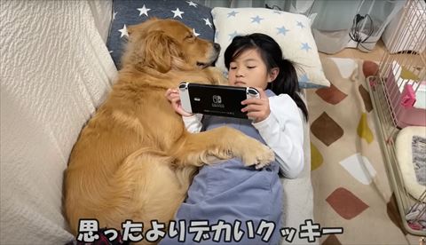 思ったよりでかいテロップ