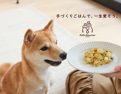 ココグルメ・イメージバナー