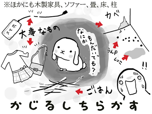 かじるしちらかす