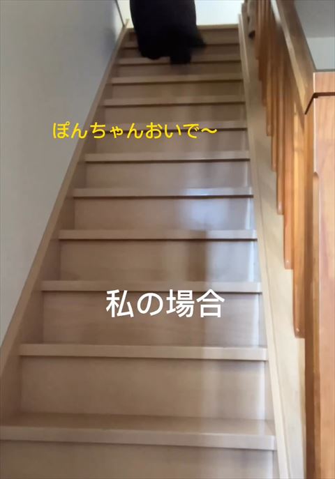 私の場合テロップ