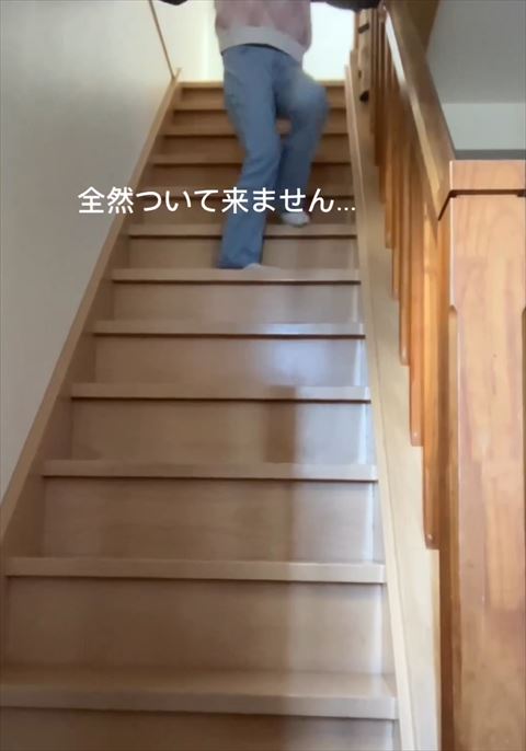 全然ついてきませんテロップ