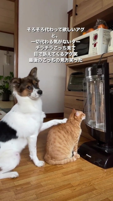 ストーブ